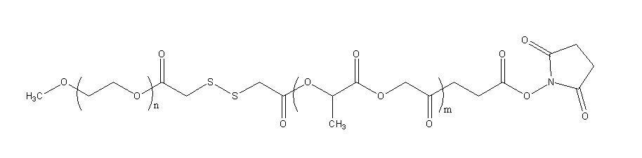 mPEG-SS-PLGA-NHS