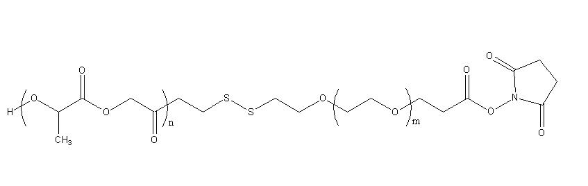 PLGA-SS-PEG-NHS