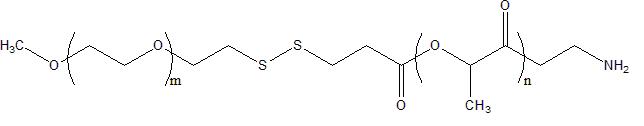 mPEG-SS-PLA-NH2