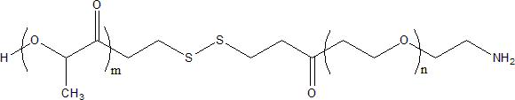 PLA-SS-PEG-NH2