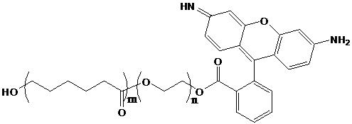 PCL-PEG-Rhodamine B