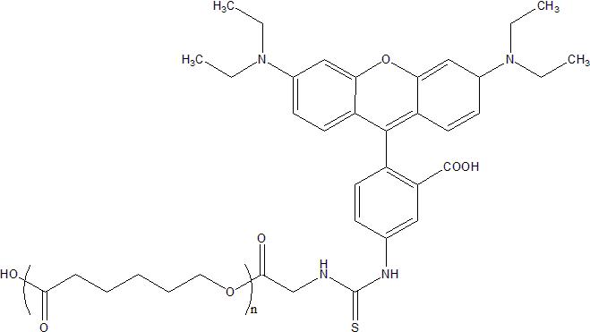 PCL-Rhodamine B