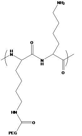 PLL(20)-g[3.5]-PEG(2)