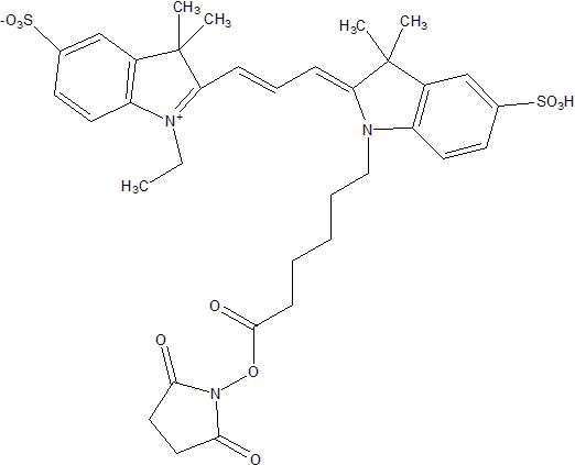 Sulfo Cyanine3 NHS ester