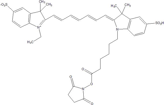 Sulfo Cyanine7 NHS ester