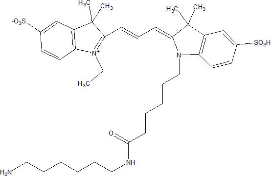 Sulfo Cyanine3 amine 