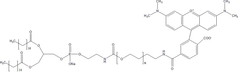 DSPE-PEG-6-TAMRA