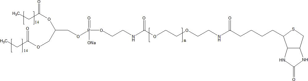 DPPE-PEG-Biotin