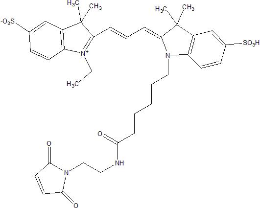 Sulfo Cyanine3 Maleimide