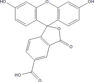 5-Carboxy Fluorescein