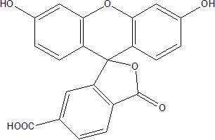 6-Carboxy Fluorescein