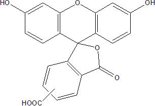 5(6)-Carboxy fluorescein