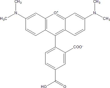 5-TAMRA