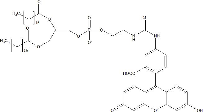 DSPE-FITC