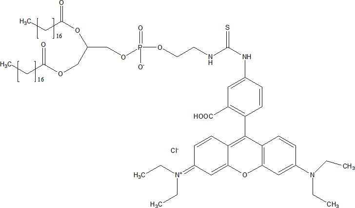 DSPE-RB