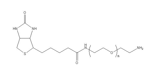 Biotin-PEG-NH2