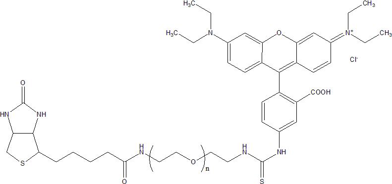 RB-PEG-Biotin