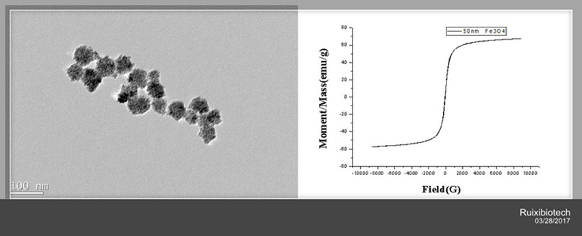 Fe3O4 Magnetic nanoparticles ,carboxyl function