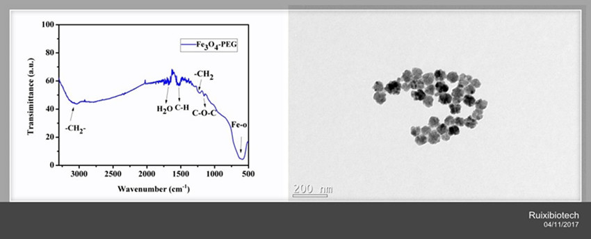 PEG/Fe3O4 Magnetic nanoparticles