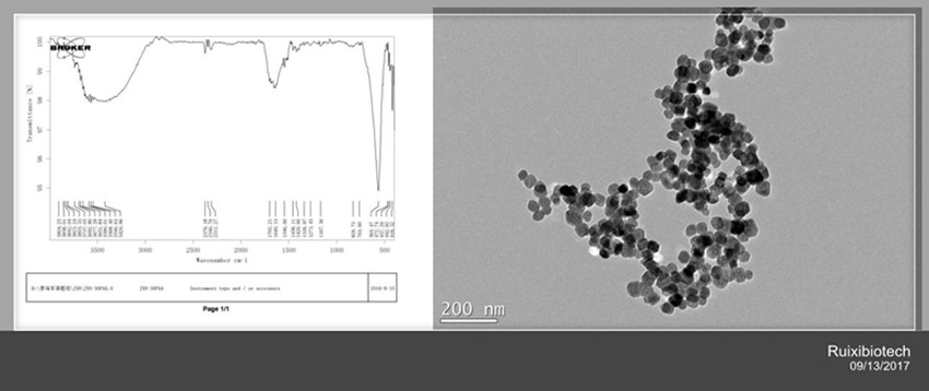 PAA/Fe3O4 Magnetic nanoparticles