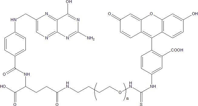 FITC-PEG-Folate 