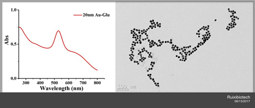 Glucose conjugated gold nanoparticles