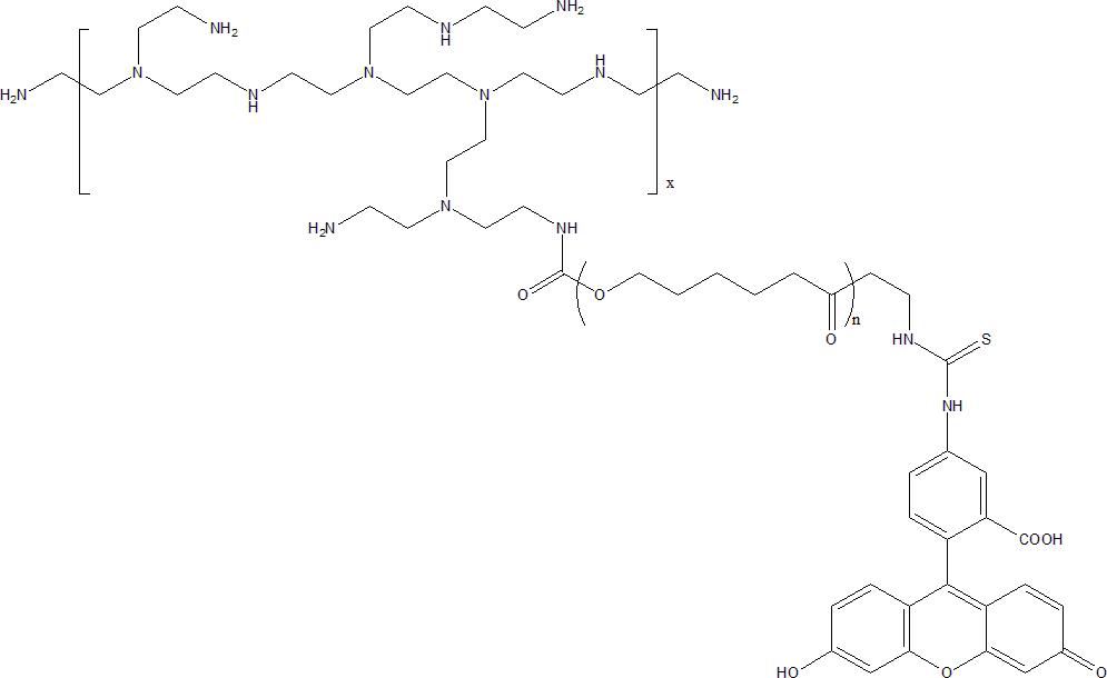 PEI-PCL-FITC 