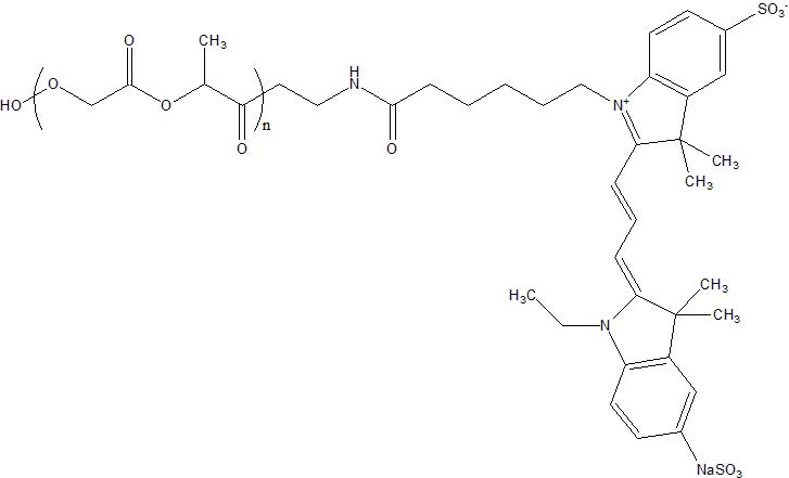 CY3-PLGA