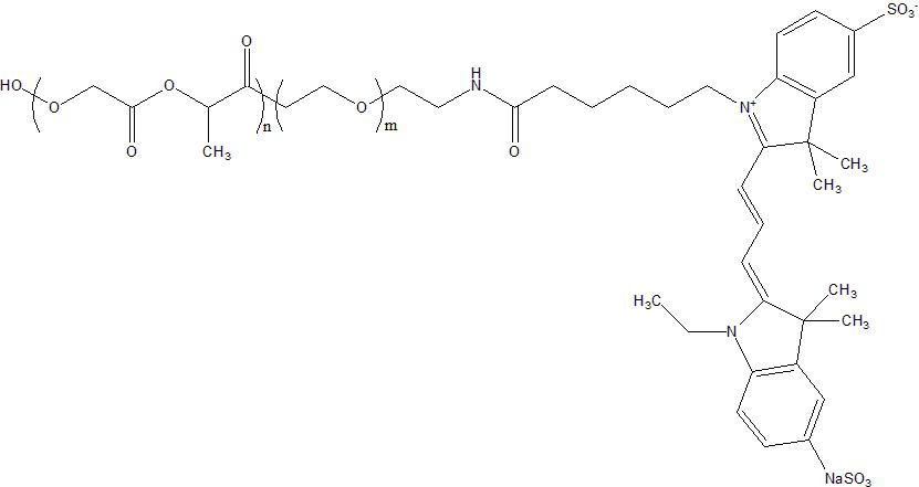 CY3-PEG-PLGA