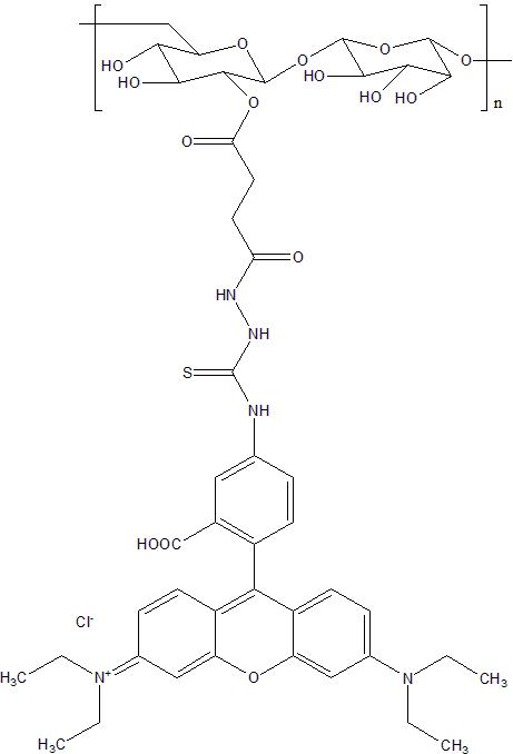 Dextran70K-Rhodamine