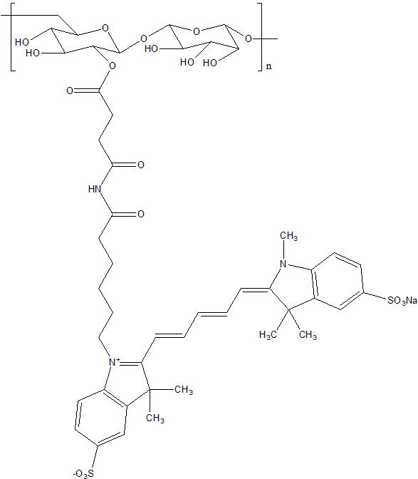 CY5-Dextran