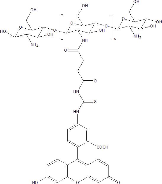 FITC-Chitosan 