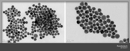 Gold Nanoparticles,Au-PEG-NHS