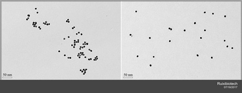 Gold Nanoparticles,Au-PEG-COOH