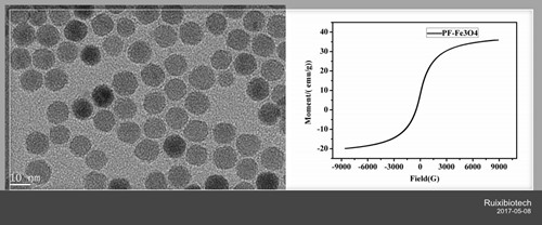 Perfluoropentane modified Fe3O4 nanoparticles