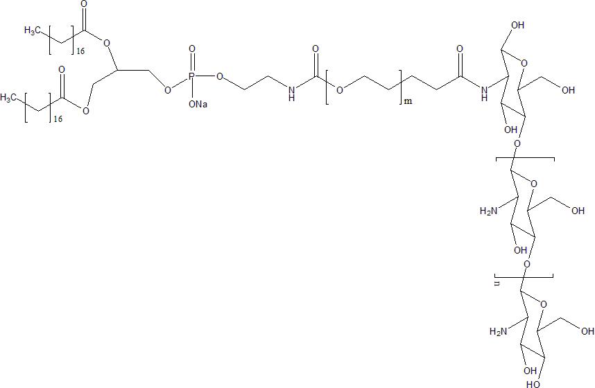 DSPE-PEG-Chitosan