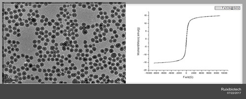 SiO2/Fe3O4 Magnetic nanoparticles ,amine function