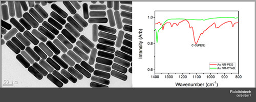 Gold Nanorods-PEG-NH2