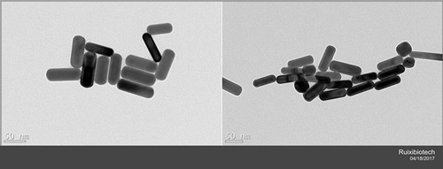 Gold Nanorods-PEG-NHS