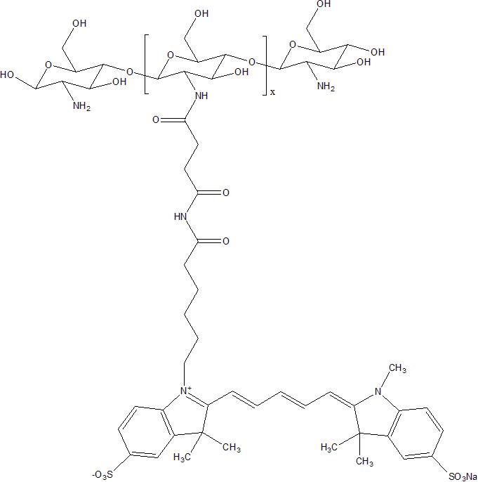 CY5-Chitosan