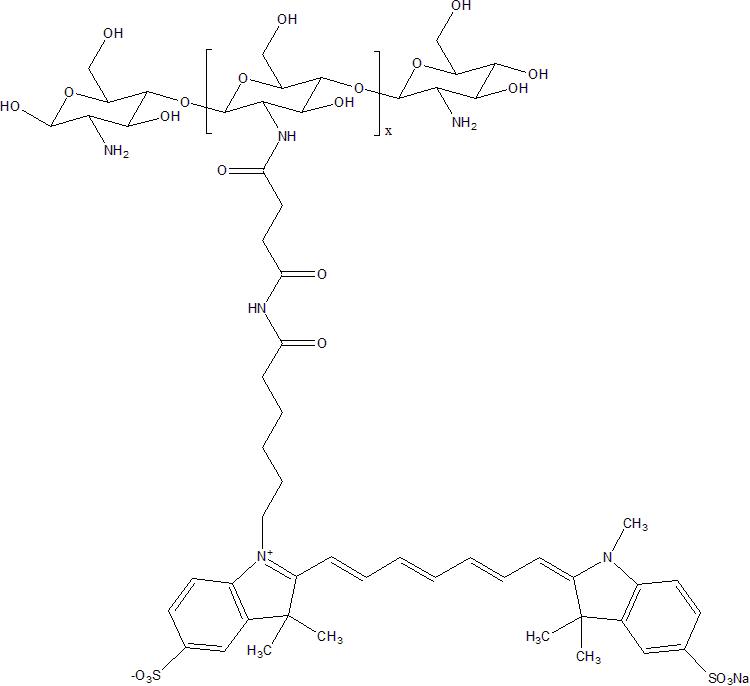 CY7-Chitosan