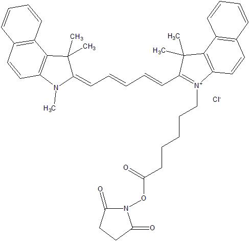 CY5.5 NHS ester