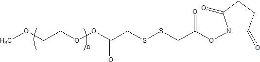 mPEG-SS-NHS
