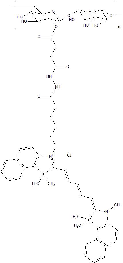 CY5.5-Dextran