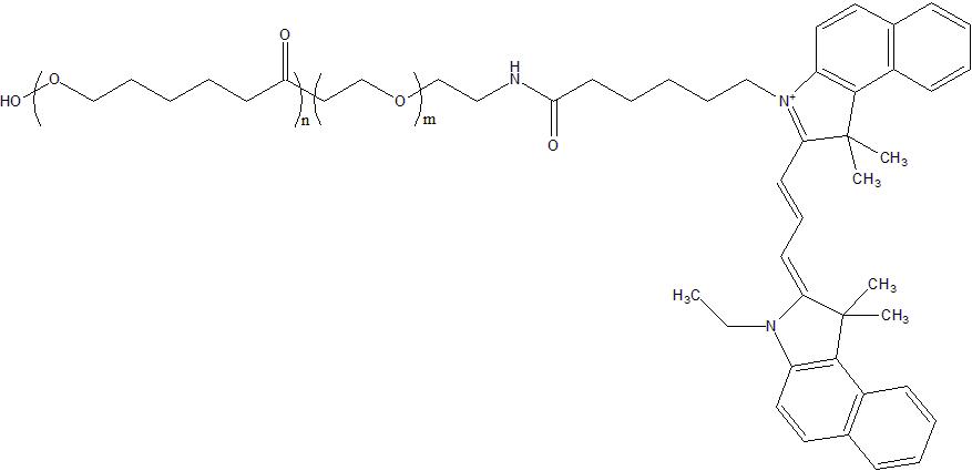 CY3.5-PEG-PCL