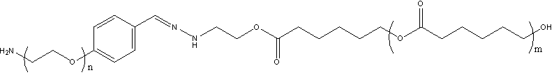 PCL-Hyd-PEG-NH2