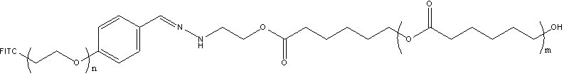 PCL-Hyd-PEG-FITC