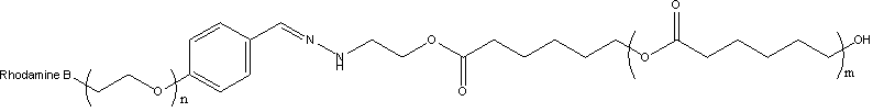 PCL-Hyd-PEG-Rhodamine B