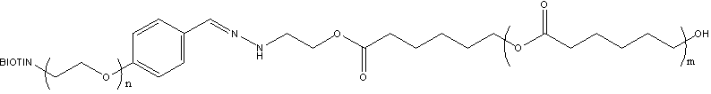 PCL-Hyd-PEG-Biotin