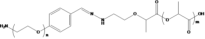 PLA-Hyd-PEG-NH2